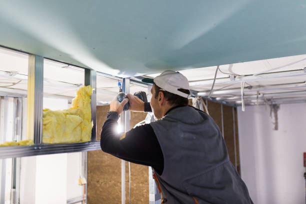 Types of Insulation We Offer in Springmont, PA